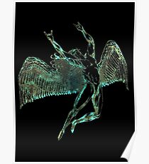 FLIGHT OF ICARUS - sun bleached ***find hidden gems in my portfolio*** Poster