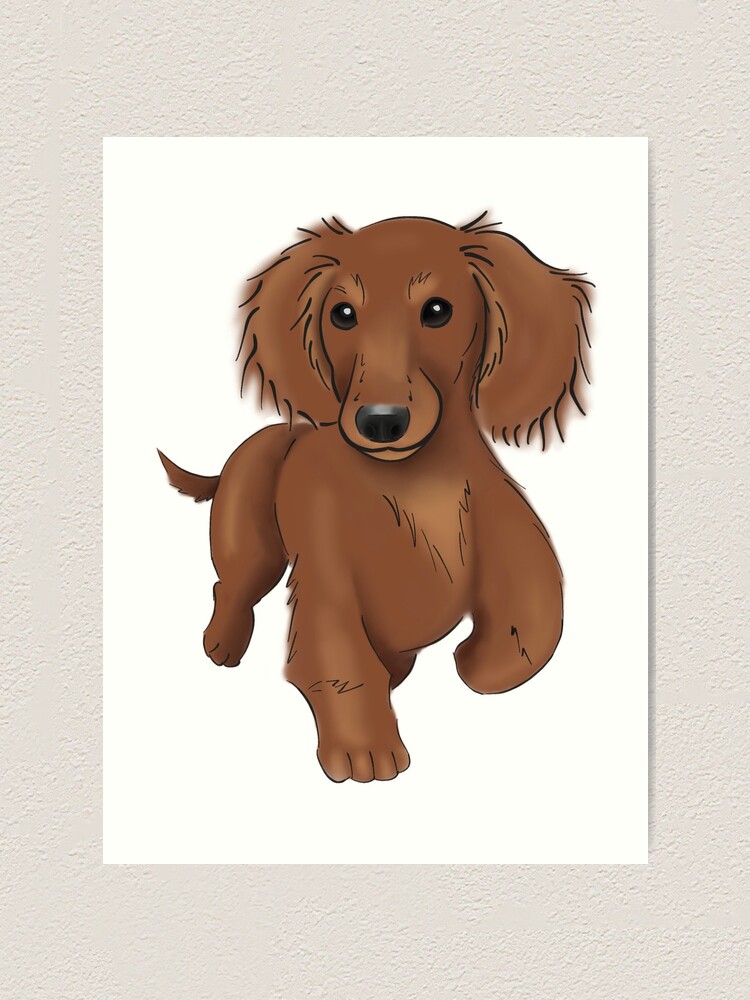 Cartoon Wire Haired Dachshund High Tops - Black Cartoon Wire Haired Dachshund High Tops - Black
