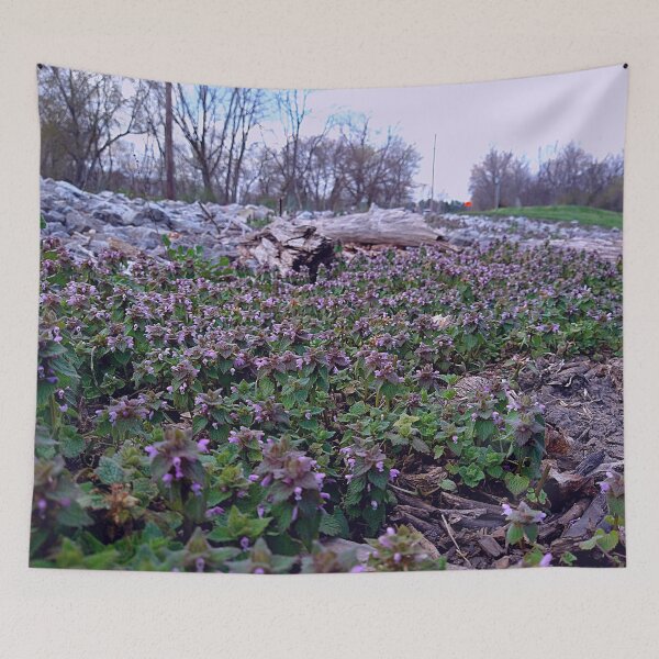 Item preview, Patch of Red Dead-nettle designed and sold by Mothe3rd.