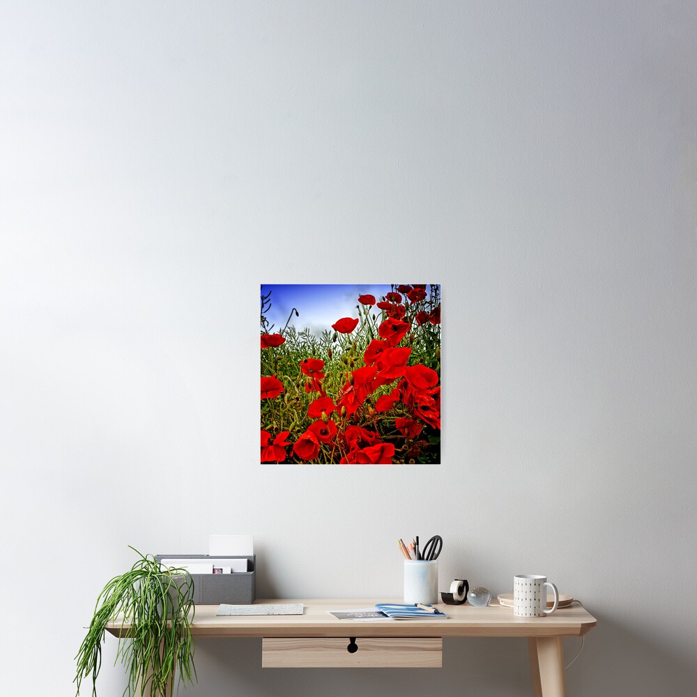 Item preview, Poster designed and sold by Coigach.
