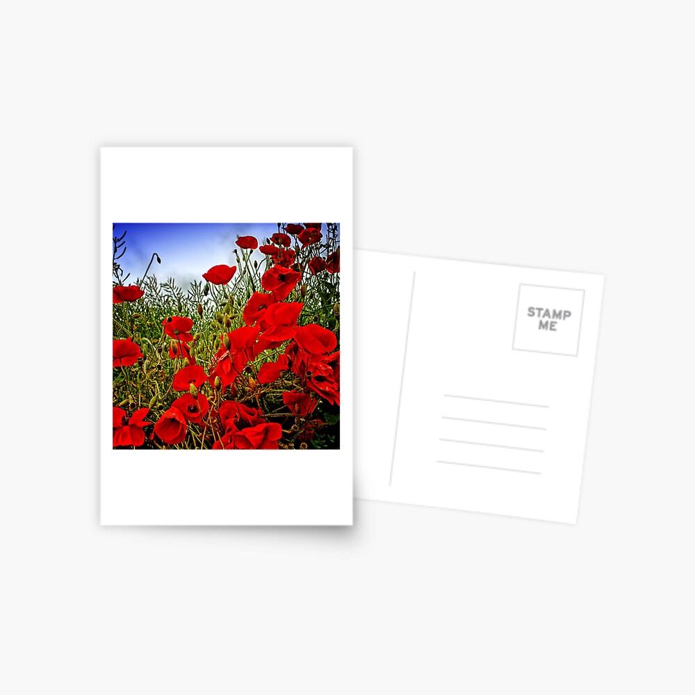 Item preview, Postcard designed and sold by Coigach.