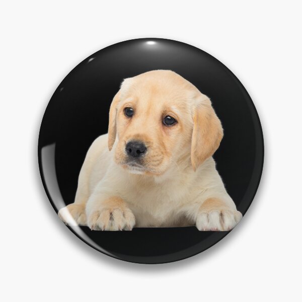 Item preview, CUTE PUPPY, DOG LOVERS, DOG IS MY LOVER, DOG IS MY BESTFREIND designed and sold by Happy Soul Store.