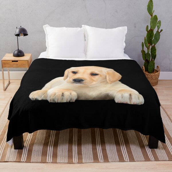 Item preview, CUTE PUPPY, DOG LOVERS, DOG IS MY LOVER, DOG IS MY BESTFREIND designed and sold by Happy  Soul Store.