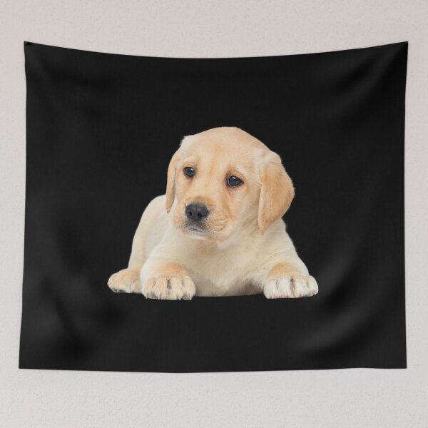 Item preview, CUTE PUPPY, DOG LOVERS, DOG IS MY LOVER, DOG IS MY BESTFREIND designed and sold by Happy Soul Store.