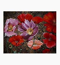 The Poppy Collective Photographic Print