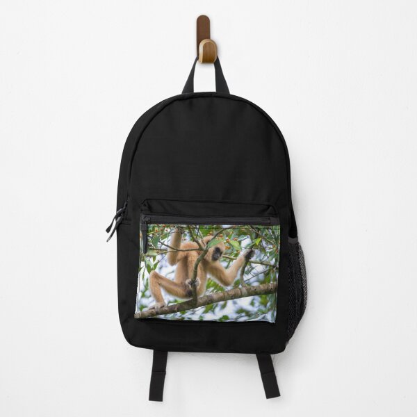 Item preview, White-handed gibbon on Fig Tree designed and sold by David ST Loh Images.