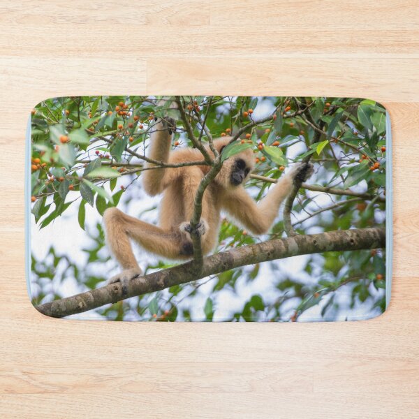 Item preview, White-handed gibbon on Fig Tree designed and sold by David ST Loh Images.