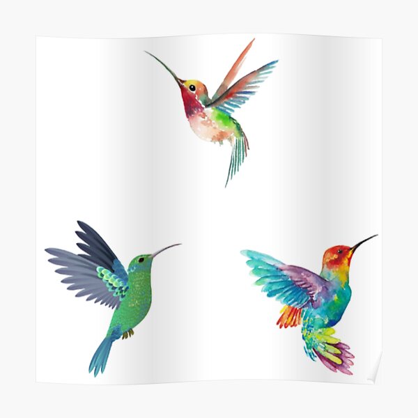 UGANDA ERRORE MISSPERF Souvenir s A3171 2014 Colibrì Archilochus alexandri 