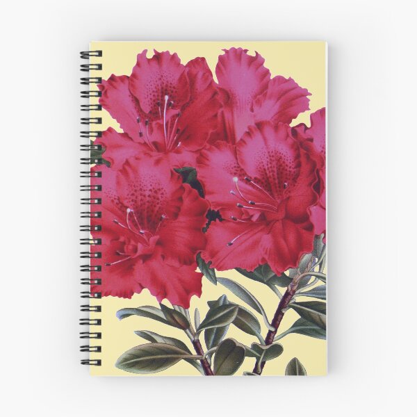 Item preview, Vintage Azalea Flower 1900s Botanical Print designed and sold by Alondra.