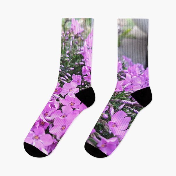 Item preview, Patch of phlox purple flowers designed and sold by Mothe3rd.