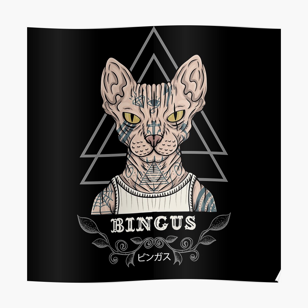 Bingus cat - Punk - gangster - sphynx cat
