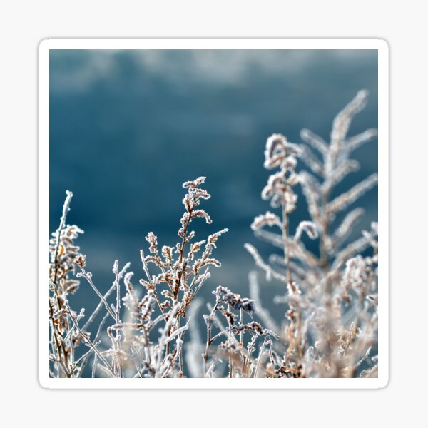 Item preview, Snowy Farm designed and sold by fahadabu.