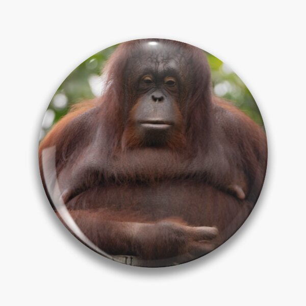 Item preview, Been a tough day, Ms Orangutan? designed and sold by David ST Loh Images.
