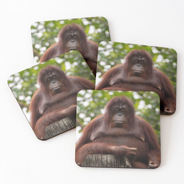 Item preview, Been a tough day, Ms Orangutan? designed and sold by David ST Loh Images.