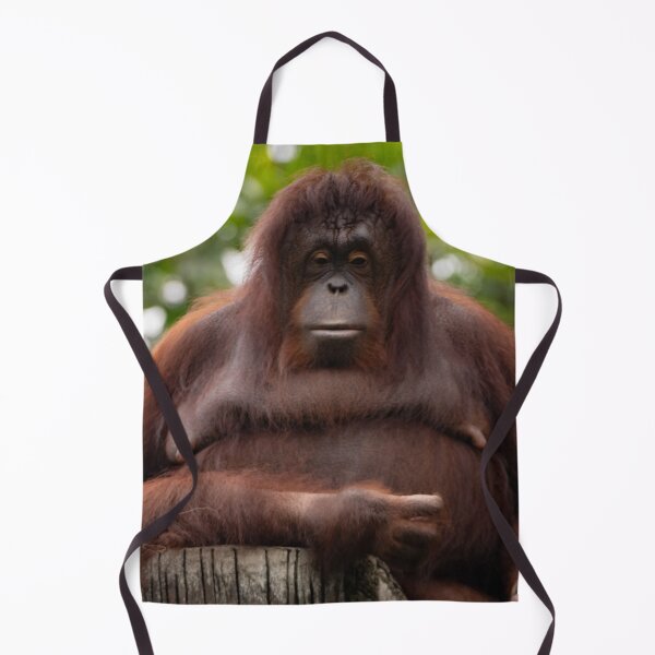 Item preview, Been a tough day, Ms Orangutan? designed and sold by David ST Loh Images.