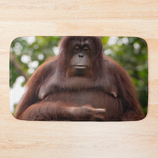 Item preview, Been a tough day, Ms Orangutan? designed and sold by David ST Loh Images.