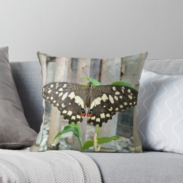 Item preview, The Shy Butterfly designed and sold by Luxxe87.
