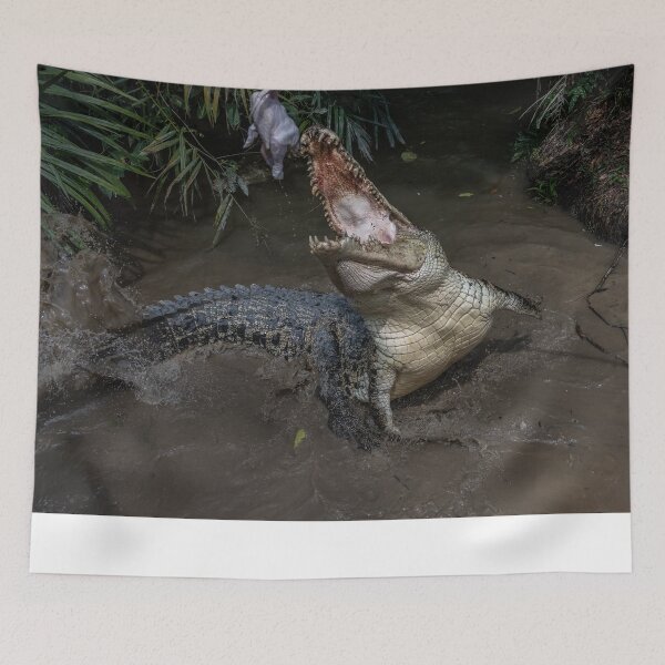 Item preview, Crocodile Feeding #1 designed and sold by David ST Loh Images.