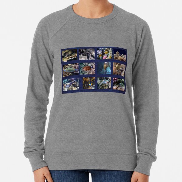 Hurmerinta Red Sea Sealife Collage 3 Lightweight Sweatshirt