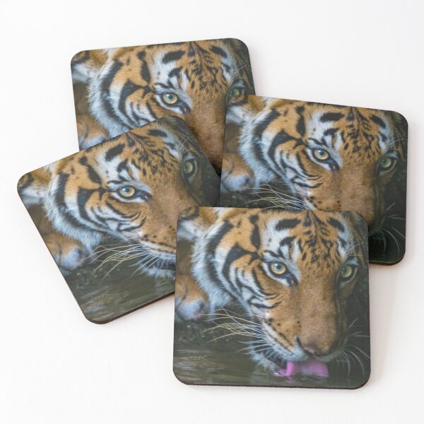 Item preview, Malayan Tiger Drinking designed and sold by David ST Loh Images.