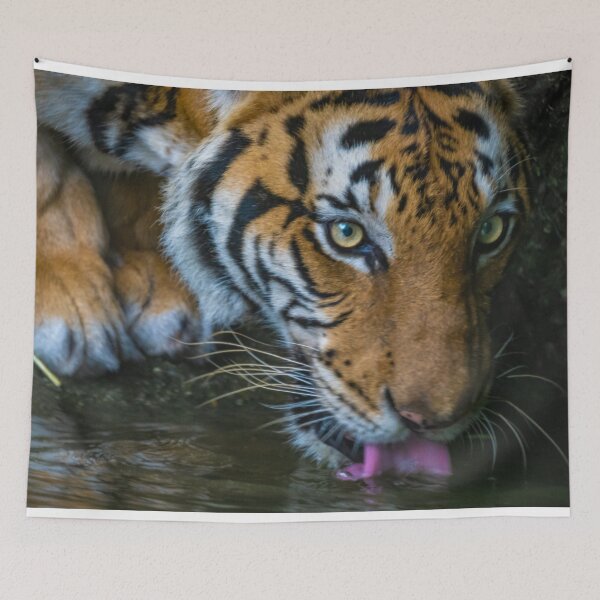 Item preview, Malayan Tiger Drinking designed and sold by David ST Loh Images.