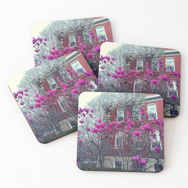 Item preview, Liliiflora and Yulan Magnolia in front of a brick building designed and sold by Mothe3rd.