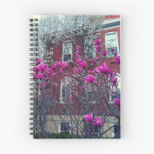 Item preview, Liliiflora and Yulan Magnolia in front of a brick building designed and sold by Mothe3rd.
