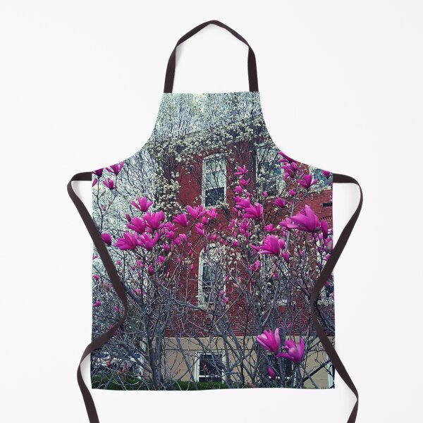 Item preview, Liliiflora and Yulan Magnolia in front of a brick building designed and sold by Mothe3rd.