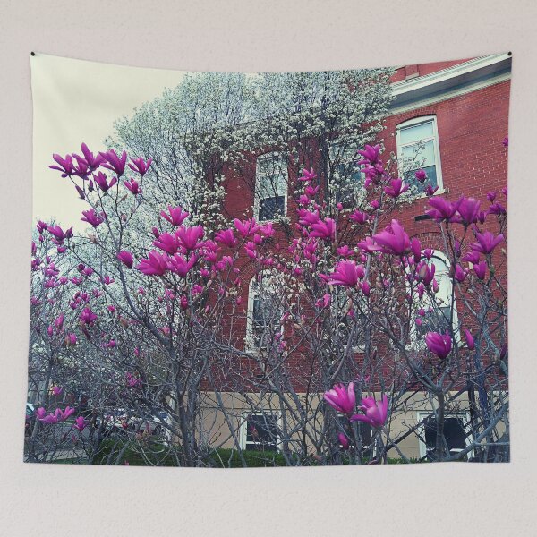 Item preview, Liliiflora and Yulan Magnolia in front of a brick building designed and sold by Mothe3rd.