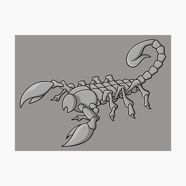 Dessine Moi Un Scorpion, Drawing by Edith Donc | Artmajeur