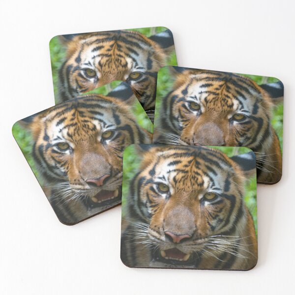 Item preview, A Malayan Tiger   designed and sold by David ST Loh Images.