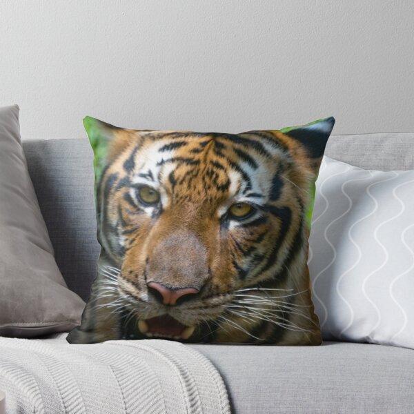 Item preview, A Malayan Tiger   designed and sold by David ST Loh Images.