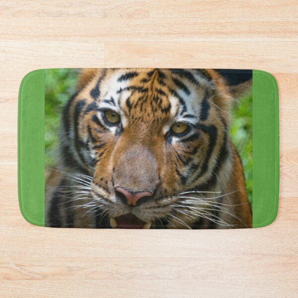 Item preview, A Malayan Tiger   designed and sold by David ST Loh Images.
