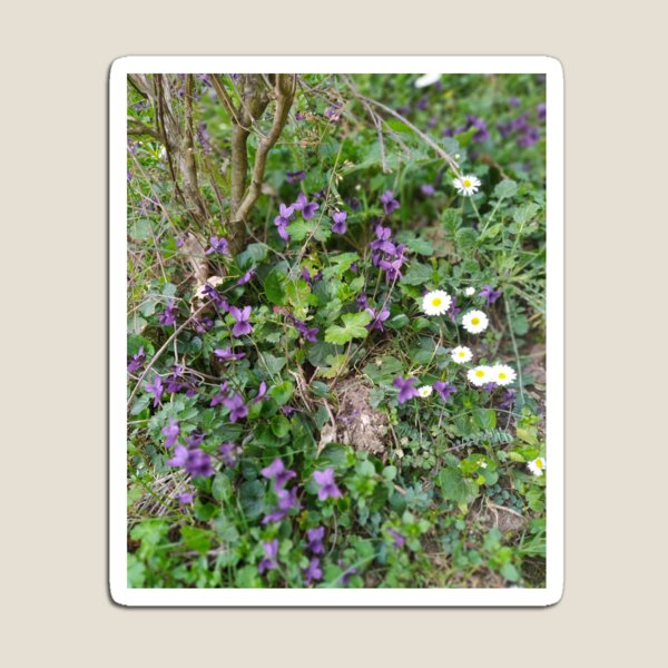 Item preview, Mountain flowers designed and sold by SouthernSpecial.
