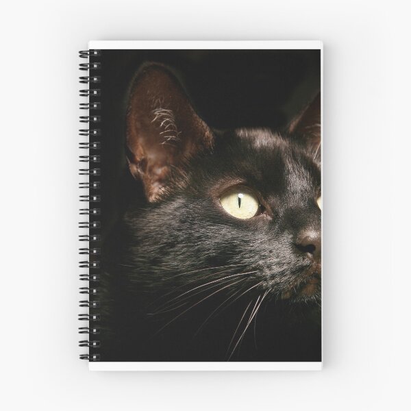 Item preview, Biggles designed and sold by pipsqueaksphoto.