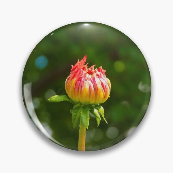 Item preview, Aitara Bronwyn Dahlia Bud designed and sold by jojobob.