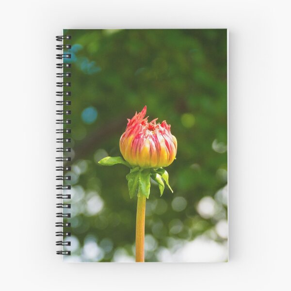 Item preview, Aitara Bronwyn Dahlia Bud designed and sold by jojobob.