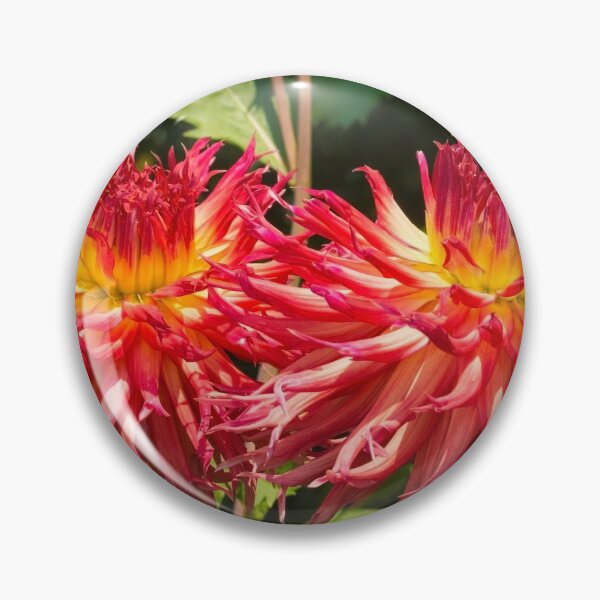 Item preview, Aitara Bronwyn Dahlias designed and sold by jojobob.