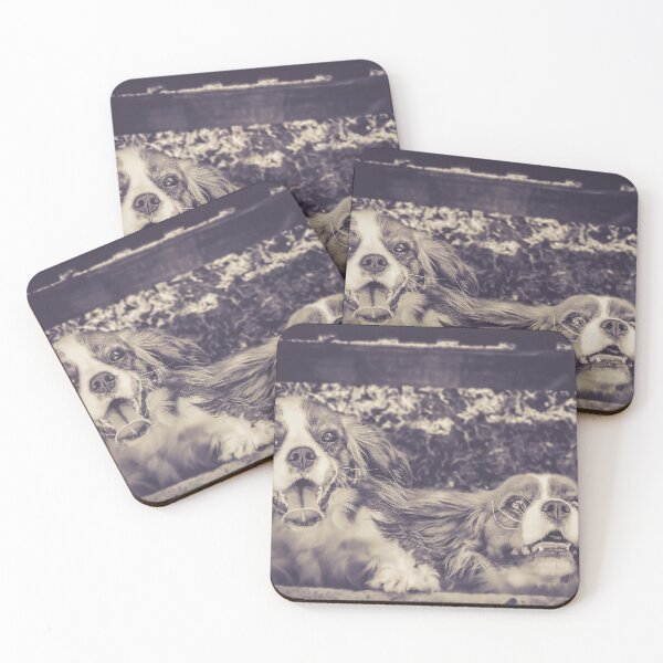 Item preview, Charlie & Brodie designed and sold by pipsqueaksphoto.