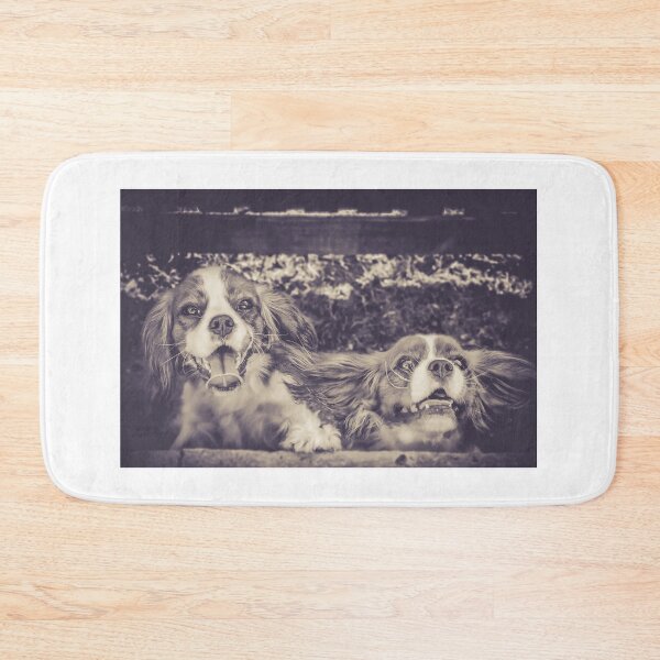 Item preview, Charlie & Brodie designed and sold by pipsqueaksphoto.