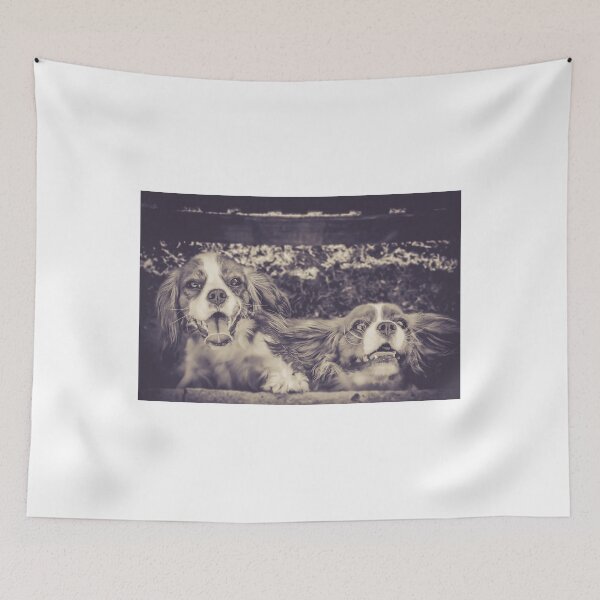 Item preview, Charlie & Brodie designed and sold by pipsqueaksphoto.