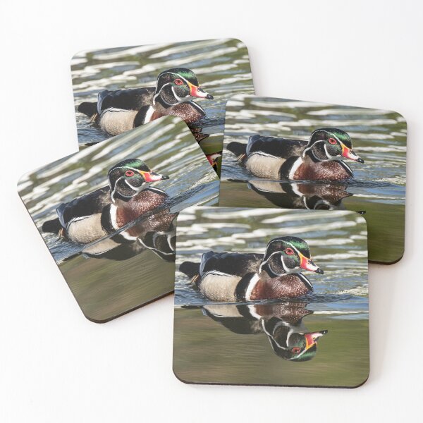 Item preview, Reflection of a male wood duck designed and sold by Gvsp18.