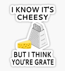 I Know It's Cheesy But I Think You're Grate Sticker