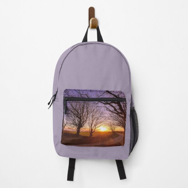 Item preview, WINTER TREES SUNSET OVER DEVON LANE designed and sold by Richard Brookes Photography.