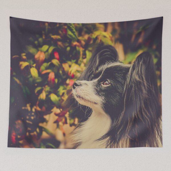 Item preview, Ted the Papillon designed and sold by pipsqueaksphoto.