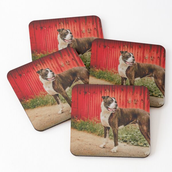 Item preview, Baxter designed and sold by pipsqueaksphoto.