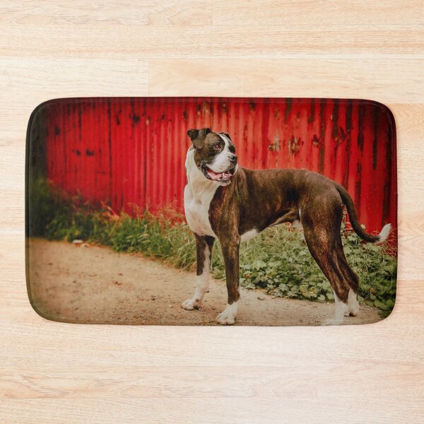 Item preview, Baxter designed and sold by pipsqueaksphoto.