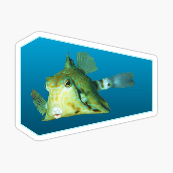 Fischmotiv | Kofferfisch schwebt vor blauem Hintergrund | Sticker