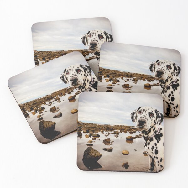 Item preview, Kasper designed and sold by pipsqueaksphoto.