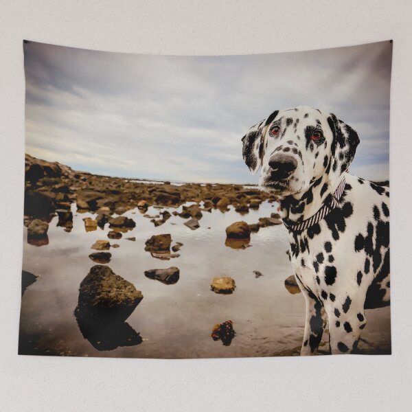 Item preview, Kasper designed and sold by pipsqueaksphoto.